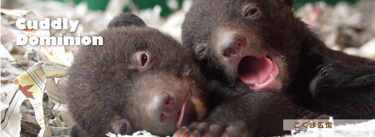 阿蘇卡德利動物樂園