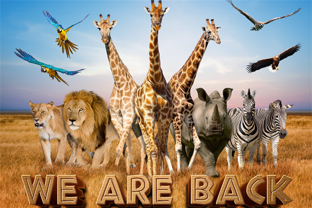 【免泰簽．曼谷．芭達雅5日（6人成行含稅）】夢幻甜點樂園、四方水上市場、夜遊暹羅灣海鮮自助餐、賽福瑞...