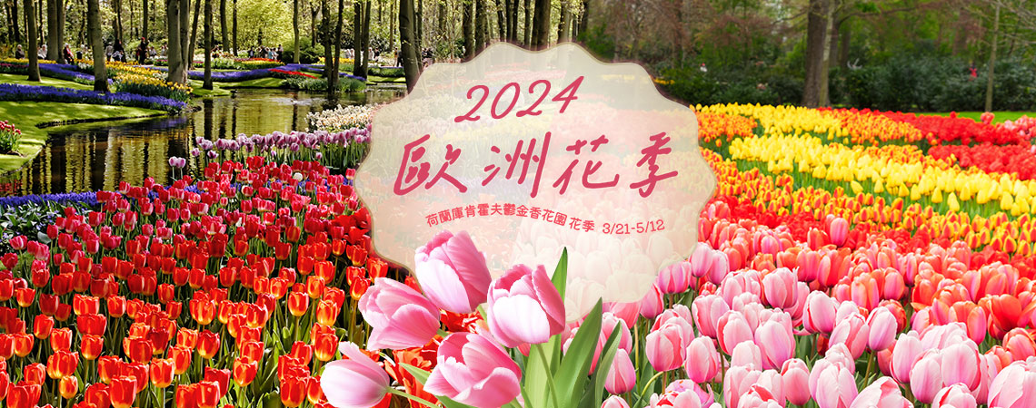 歐洲、聖誕市集、2024花季、鬱金香