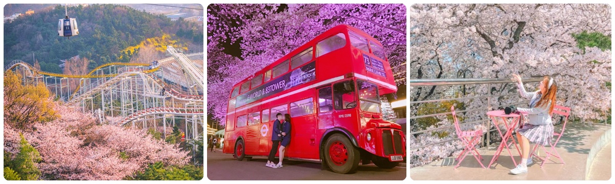 E WORD星光櫻花節