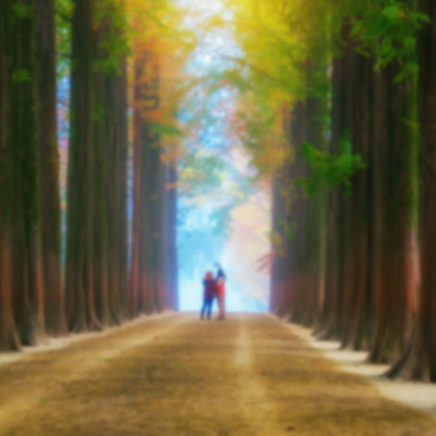 無壓玩韓國不進人蔘.保肝購物