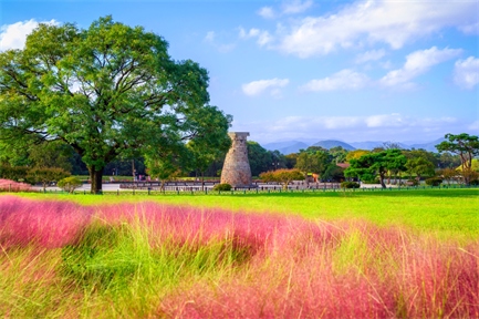 【真航易起飛．釜慶雙城楓紅彩妝4日】七大賞楓紅銀杏名所、瞻星臺粉紅黛子草、彩色膠囊列車、唯美夢幻聖堂...