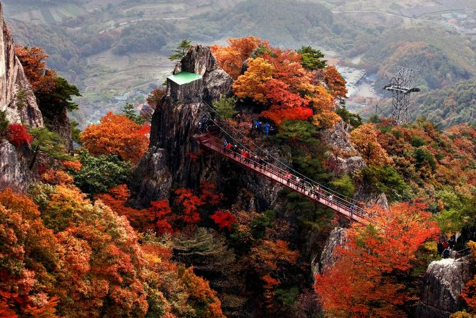 【真航易起飛．韓國雙名山楓紅5日】內藏＋大芚山賞楓紅、韓屋村韓服體驗、顯忠祠銀杏楓紅、昌慶宮紅葉秘境...