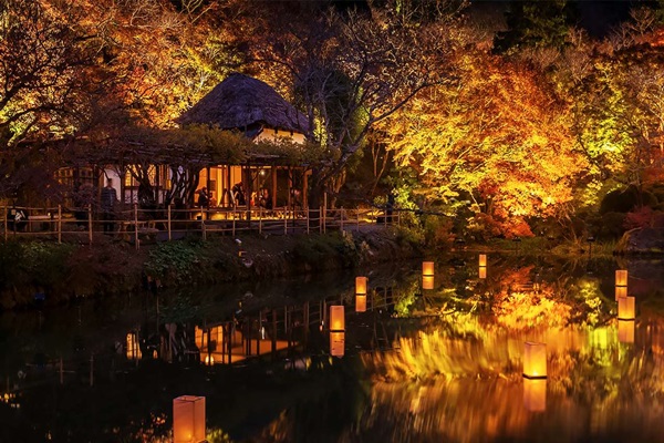 九州夢幻夜楓4日｜御船山絕美點燈夜楓,祐德稻荷神社,柳川遊船,萌熊部長,熊本城銀杏,太宰府天滿宮,福...