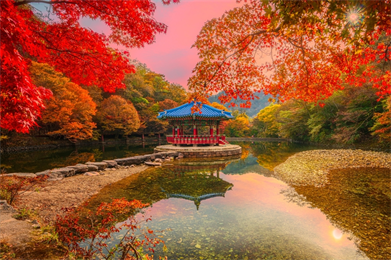 【Aero K易起飛．韓國雙名山楓紅5日】內藏＋雞龍山賞楓紅、谷橋川銀杏道路、韓服古宮賞紅葉、文化遺...