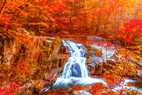 【韓亞易起飛．韓國雪嶽山楓紅5日】不進保肝、四星住宿、逍遙山紅葉、蘋果採果樂、香草島樂園、浪漫正東津...