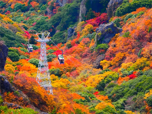 楓靡經典四國 5 日|道後溫泉、 松山城、臥龍山莊、金刀比羅宮、寒霞溪纜車、栗林公園、烏龍麵DIY體...