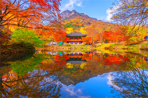 【韓亞易起飛．楓采韓國三大名山5日】不進蔘肝、內藏＋雞龍＋大芚三名山、南山紅葉季、楓紅秘境昌德宮、韓...