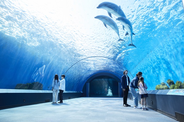 暢遊精彩東京5日| 東京迪士尼、八景島水族館、蘆之湖海盜船、山中湖白鳥號、採果樂、溫泉泡湯、御殿場購...