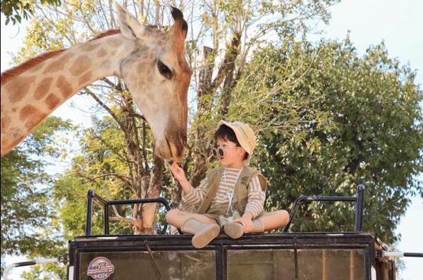【易起賀歲、大城曼芭迎春6日】全程住五星、大城網紅長頸鹿、文青樹中佛、東芭樂園親子遊、鄭王廟泰服體驗...