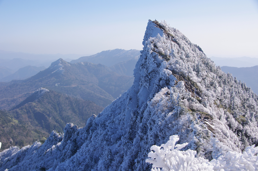 易起玩雪趣．四國採果溫泉 5 日｜道後溫泉、金刀比羅宮、大步危遊船、別子礦山小火車、石鎚山戲雪