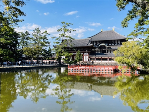 旅展限定．超值京阪奈伴自助 4 日｜奈良鹿公園、千本鳥居~伏見稻荷大社、和牛長腳蟹食放題
