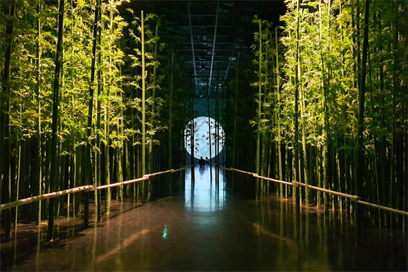 【真航易起飛．精彩韓國全羅南道5+1日】不進蔘肝、Delight藝術館、順天國家庭園、綠茶之都寶城茶...