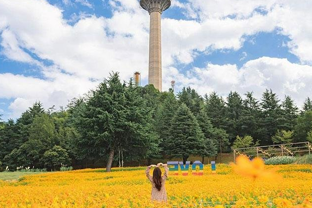 【真航易起飛．釜慶邱三城4日】不進保肝、E WORLD主題樂園、千年佛國寺、伽倻主題王國、甘川洞文化...