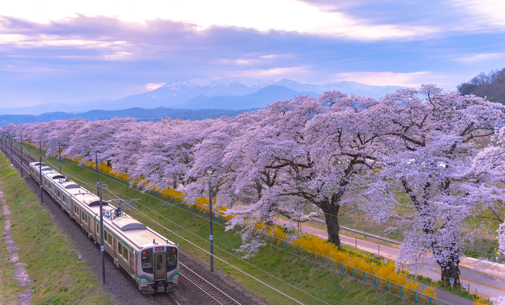 櫻情邀約．東北賞櫻採草莓 6 日｜櫻百選弘前城、櫻花隧道～北上展勝地、奧入瀨溪、猊鼻溪遊船、銀山溫泉散策