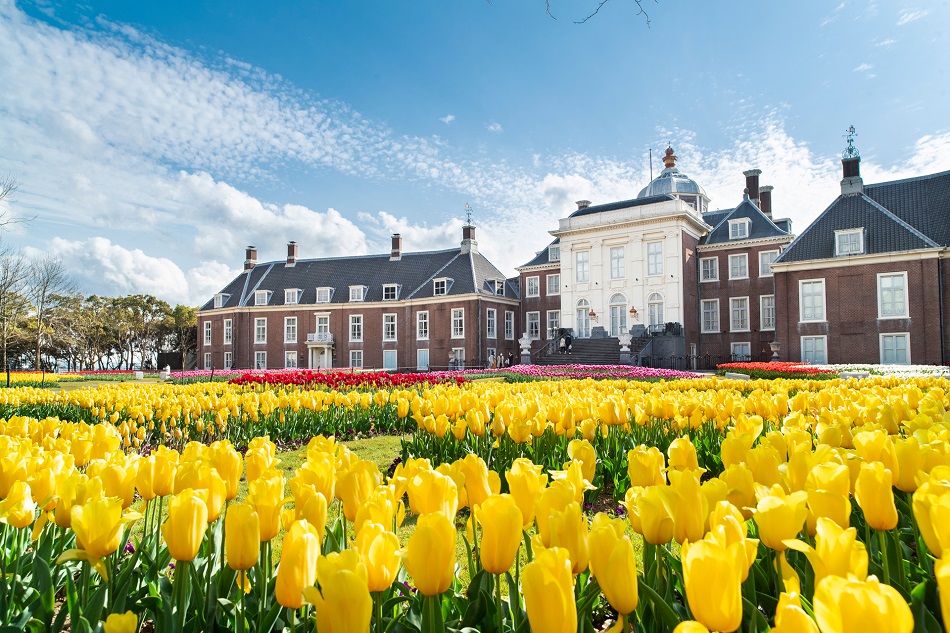 九州鬱金獻櫻情雙溫泉6日|保住豪斯登堡歐洲、長崎港灣、水鄉柳川遊船、 熊本城、CNN評選宇佐神宮、三...