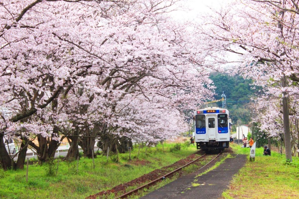 【歡慶春季線上旅展】九州春暖花開小資輕旅行6日|祐德稻荷神社、佐賀城公園、陶瓷宮殿、太宰府旅人電車、...