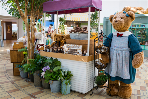 【ZE易起飛．一起遊濟州5日】不進蔘肝、海水汗蒸幕、泰迪熊王國、最美果凍海、超可愛紅白馬燈塔、彩虹海...