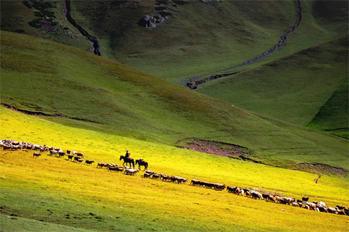【易起飛北疆13日】中國第一禾木村、 最美喀納斯湖、布爾津五彩灘、烏爾禾魔鬼城、塞裡木湖環湖、鞏乃斯...