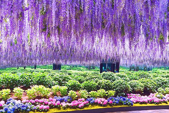 【華航易起飛．玩翻首爾雙主題5日】不進保肝、最新海棠鳥園、最大級樂天世界、浪漫南怡島遊船、最美星空圖...