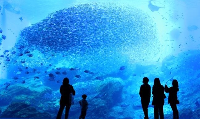 夏日趣遊東北5日 | 仙台海洋森林水族館、季節採果樂、金蛇水神社、銀山溫泉、大內宿、豬苗代湖、松島遊船(潟/仙)