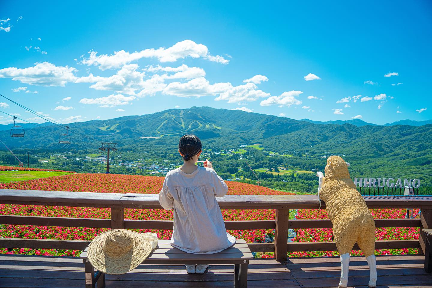 破盤最低價．小資名古屋輕旅行5日｜1000公尺高原吊椅體驗、天空花園夏季桃色花畑 V.S. 秋季可愛波波草（兩人一室一中床方案）