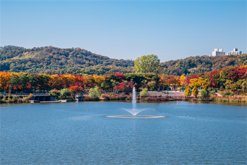 【真航易起飛．首爾最美紅葉5日】不進蔘肝、逍遙山楓紅、韓服漫步景褔宮、蘋果採果樂、唯美恩平韓屋村、楓紅秘境首爾林、香草島樂園、明洞逛街