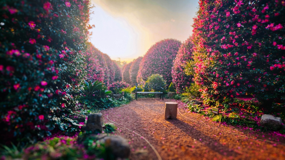 行程特色圖片