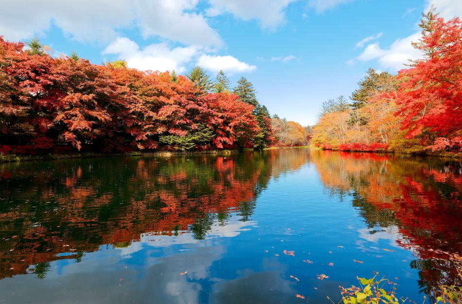 秋楓東京伴自助雙溫泉６日 | 秋賞輕井澤、河口湖紅葉祭、米其林景點高尾山、川越小江戶、採果樂、台場購物