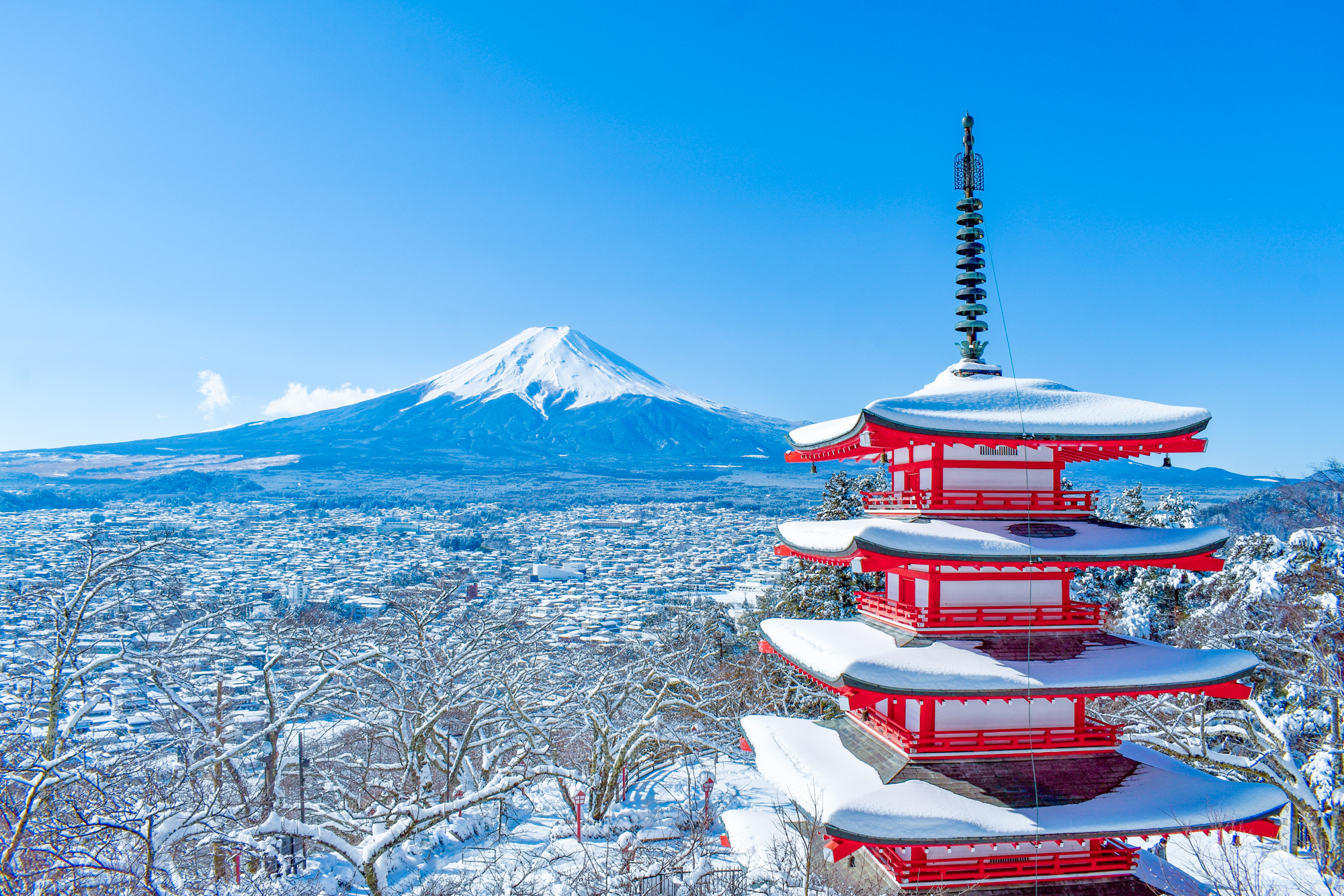 【易起賀歲｜東京機加酒4日】富士溫泉兩天一夜輕旅行 × 東京市區自由行