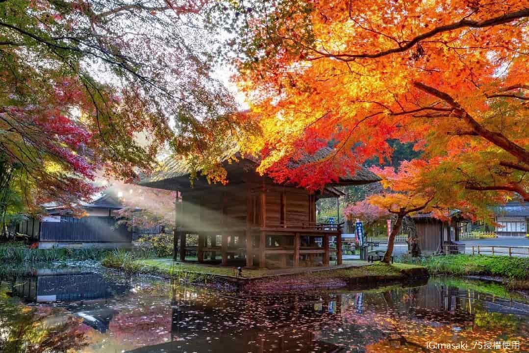 行程特色圖片