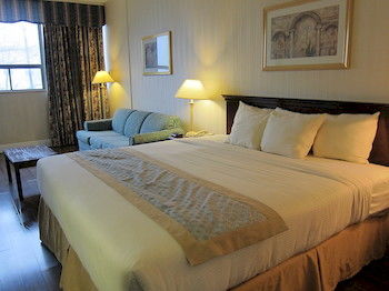 多倫多機場廣場飯店 Toronto Plaza Airport Hotel