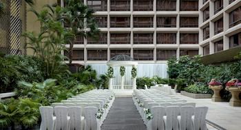 Outdoor Wedding Area