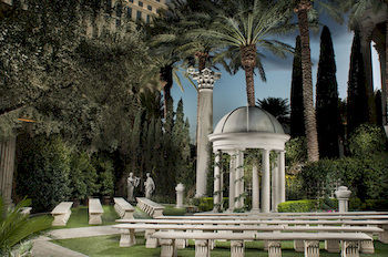 Outdoor Wedding Area
