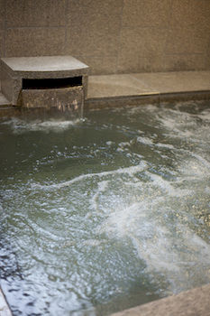 Natural Pool