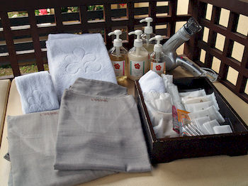 In-Room Amenity