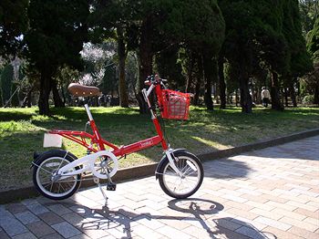 Bicycling