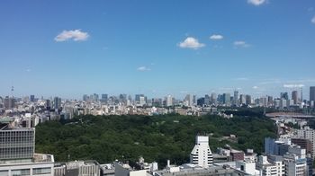 City View