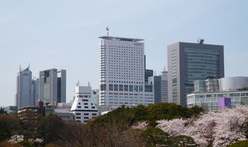 City View
