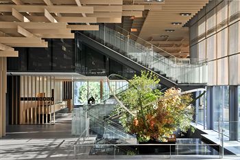 Staircase