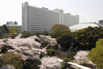 外觀