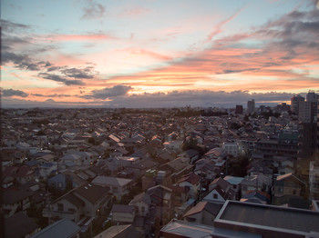 City View