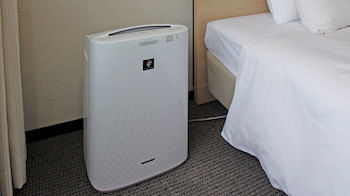 In-Room Amenity