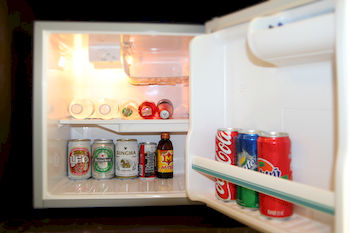 Mini-Refrigerator