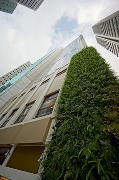 Hotel Front