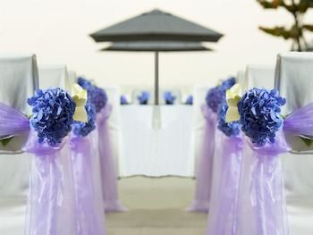 Outdoor Wedding Area