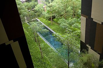 View from Hotel