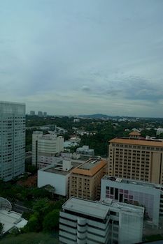 Guestroom View