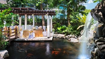 Outdoor Wedding Area