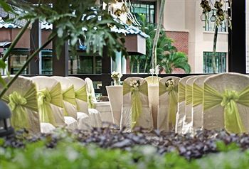 Outdoor Wedding Area